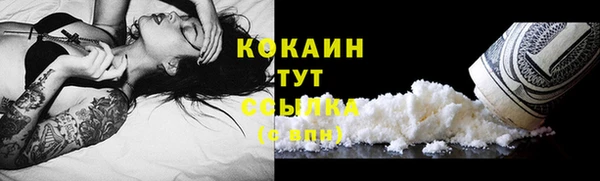 ешки Алексин