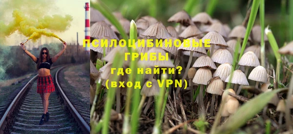 эйфоретик Дмитриев