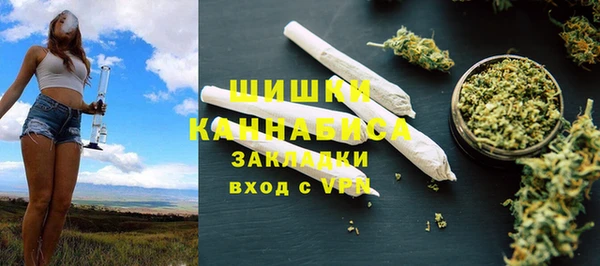 ешки Алексин
