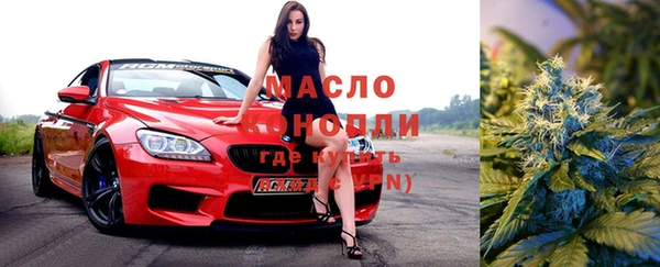 ешки Алексин