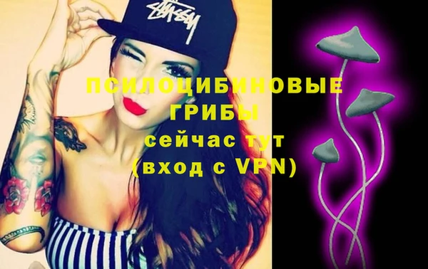 тгк Гусев