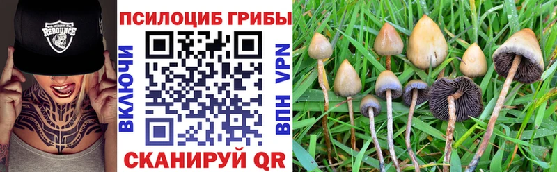Галлюциногенные грибы мухоморы  Большой Камень 
